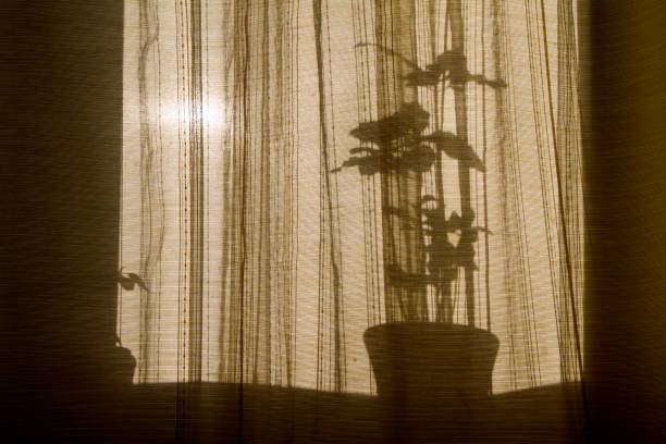 istock Shadow through the curtains on the windows 1169383554