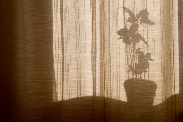 istock Shadow through the curtains on the windows 1169384527
