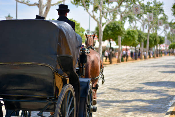 mann mit kutsche und pferden - malaga seville cadiz andalusia stock-fotos und bilder