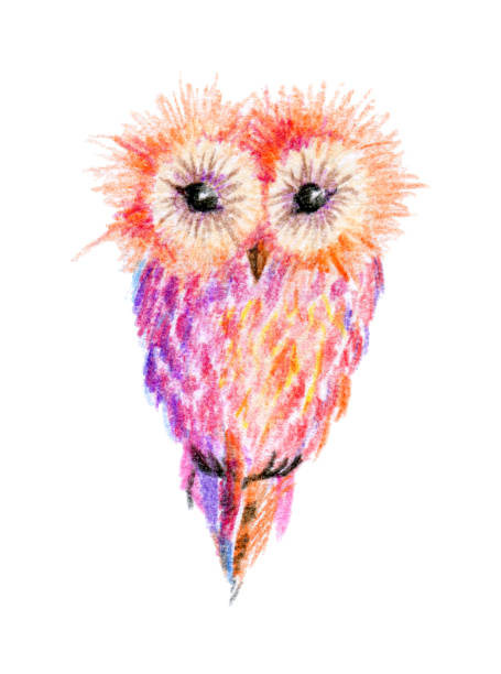 istock Cute shaggy fantasy owl. Bright colored pencils drawing. 1169390376
