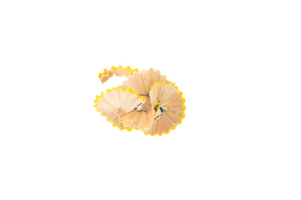 Pencil shavings on white background.