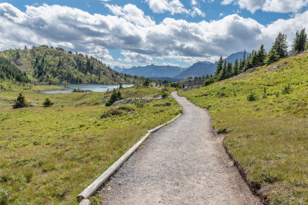 istock Rock Isle Lake at Sunshine Meadows 1169391722