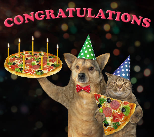 istock Dog with a cat eating pizza 2 1169392695