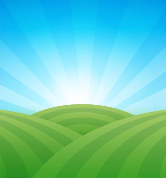 bauernhof grüne felder mit hügeln unter blauem klaren sommerhimmel - vektor-illustration. - field stock-grafiken, -clipart, -cartoons und -symbole