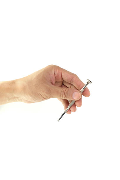 istock hand holding small screw drivers isolated on white background. High resolution image gallery. 1169393195