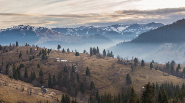 vista panorámica de las montañas de bucovina en invierno - moldavia fotografías e imágenes de stock