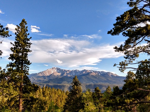 Sunny, golden morning mountain view through dark green tall pine trees, against a blue and cloudy sky outside of Woodland Park, Colorado.