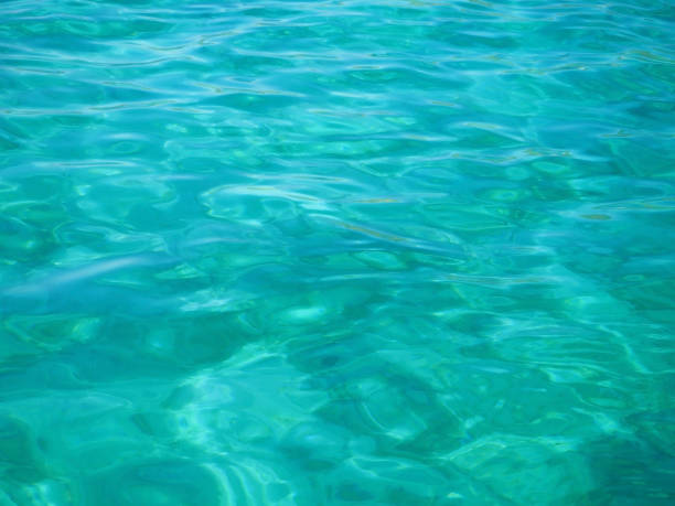 istock Turquoise sea for background 1169404774