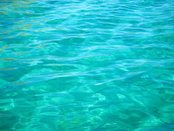 istock Turquoise sea for background 1169404812