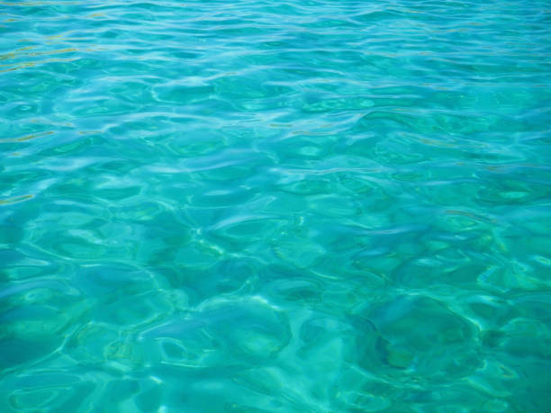 istock Turquoise sea for background 1169404818