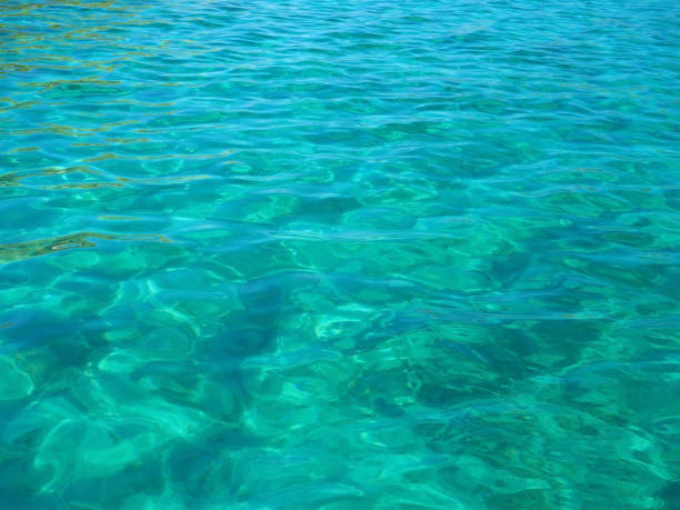 istock Turquoise sea for background 1169404880