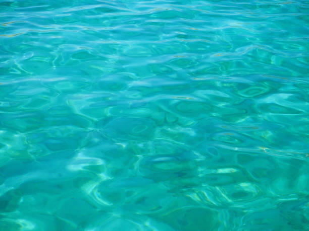istock Turquoise sea for background 1169404924