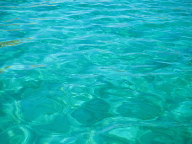 istock Turquoise sea for background 1169405045