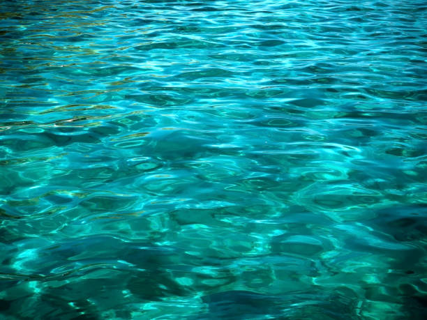 istock Turquoise sea for background 1169405090