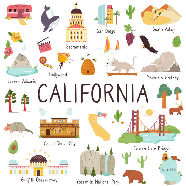 kaliforniya'da anıtlar, hayvanlar, semboller. vektör karikatür illüstrasyon - kaliforniya illüstrasyonlar stock illustrations