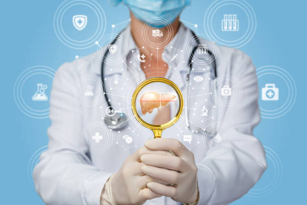 istock Concept study and diagnosis of the liver . 1169411515
