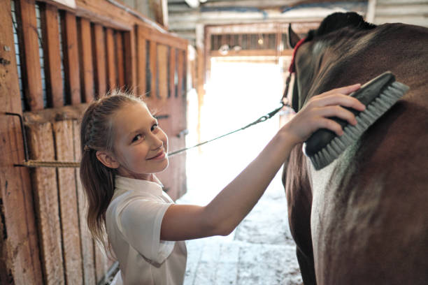 A teenage girl rider washes and brushes a horse in stable. stock photo
