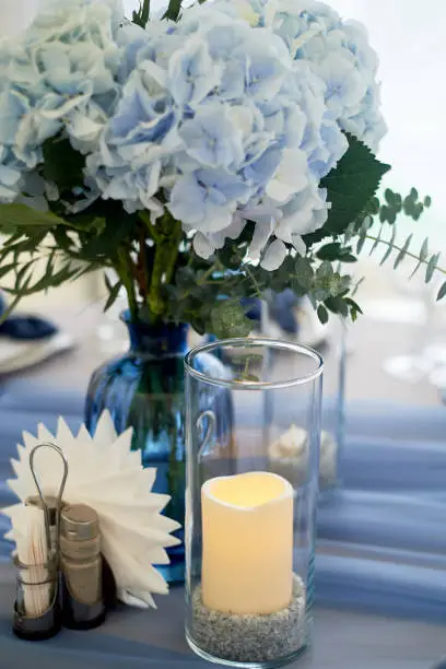 Wedding decoration of the Banquet hall for the wedding in blue. Hydrangea.