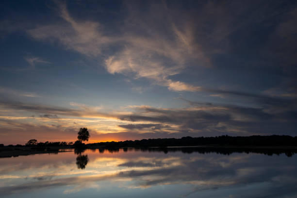 istock Sunset and lonely tree reflected in a placid Lake 1169414423