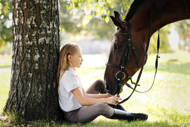 女の子ティーンエイジャージョッキーは、木の下に緑のクリアリングに座っています。馬にリンゴを与え、それを打つ。 - pets friendship green small ストックフォトと画像