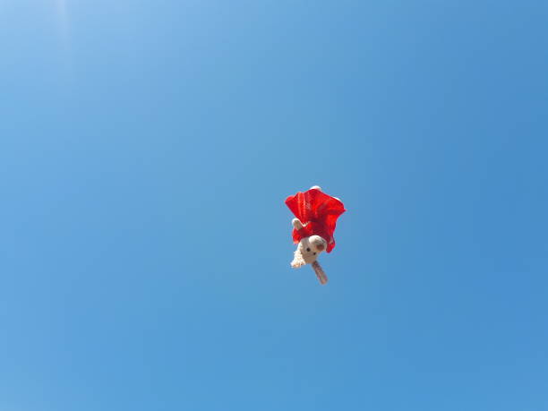 istock The stuffed animal get a nice fly 1169416865