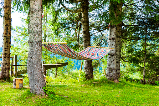 Empty hammock in the garden between trees