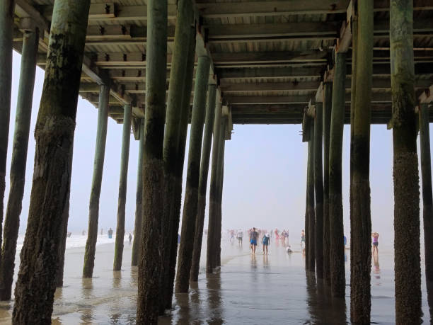Underside of the Pier at Old Oarchard Beach, Maine. The wooden poles are barnacle encrusted, Peaople can be seen enjoying the beach in the background, regardless of the morning fog.