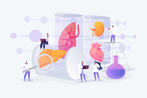 Growing body parts in science laboratory. Great scientific achievement, success Lab-Grown Organs, bioartificial organs, artificial organ concept. Vector isolated concept creative illustration