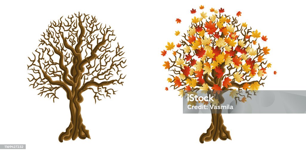 podzimní stromy - Bez autorských poplatků Dekorace vektorové obrázky podzimní stromy - Bez autorských poplatků Dekorace vektorové obrázky