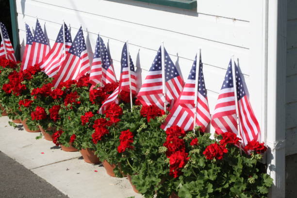istock Patriotic Display Of Geraniums 1169432723