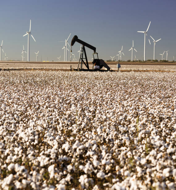 texas cotton presentó la industria petrolera de la agricultura textil pumpjack - cotton photography cloud plantation fotografías e imágenes de stock