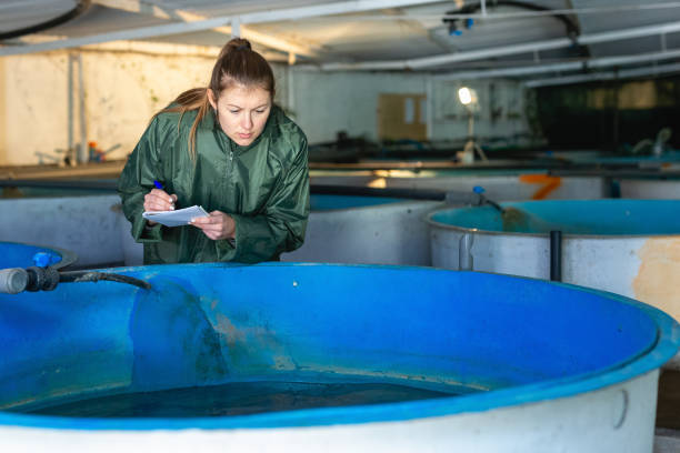 istock Woman at trout breeding incubator 1169433115