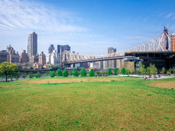 istock Queensboro Bridge And Roosevelt Island 1169435690