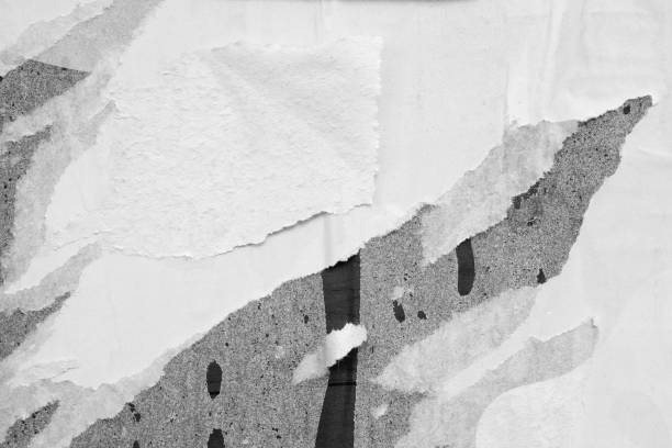 istock Blank white black old ripped torn paper crumpled creased posters grunge textures backdrop backgrounds placard 1169436093