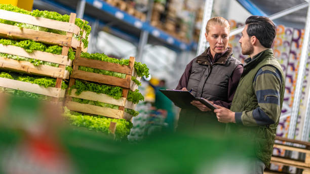 istock Crates of lettuce, isolated 1169436781