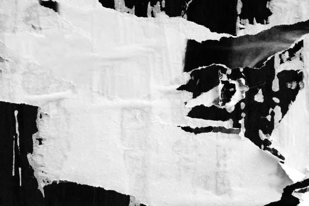 istock Blank white black old ripped torn paper crumpled creased posters grunge textures backdrop backgrounds placard 1169437019