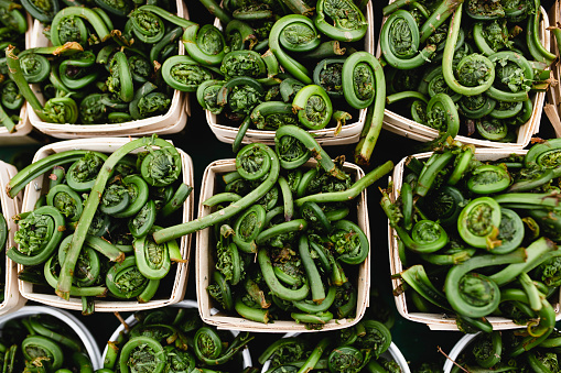 food, vegetable, fiddleheads, vegetarianism