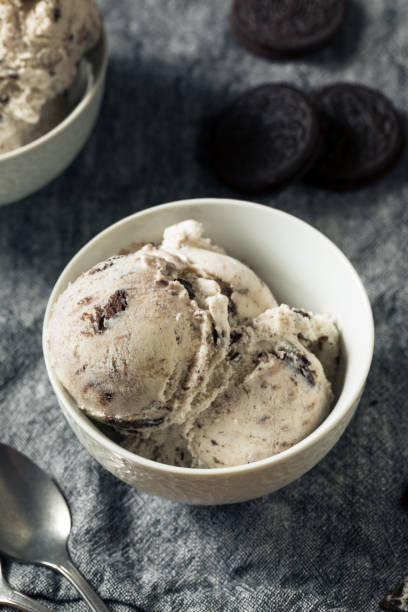 istock Homemade Chocolate Cookes and Cream Icecream 1169439877
