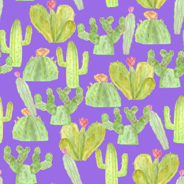 istock Cactus pattern in different shades of green with flowers on a violet background. 1169441683