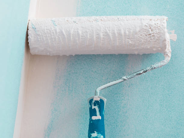 istock Person applying paint on wall 1169442987