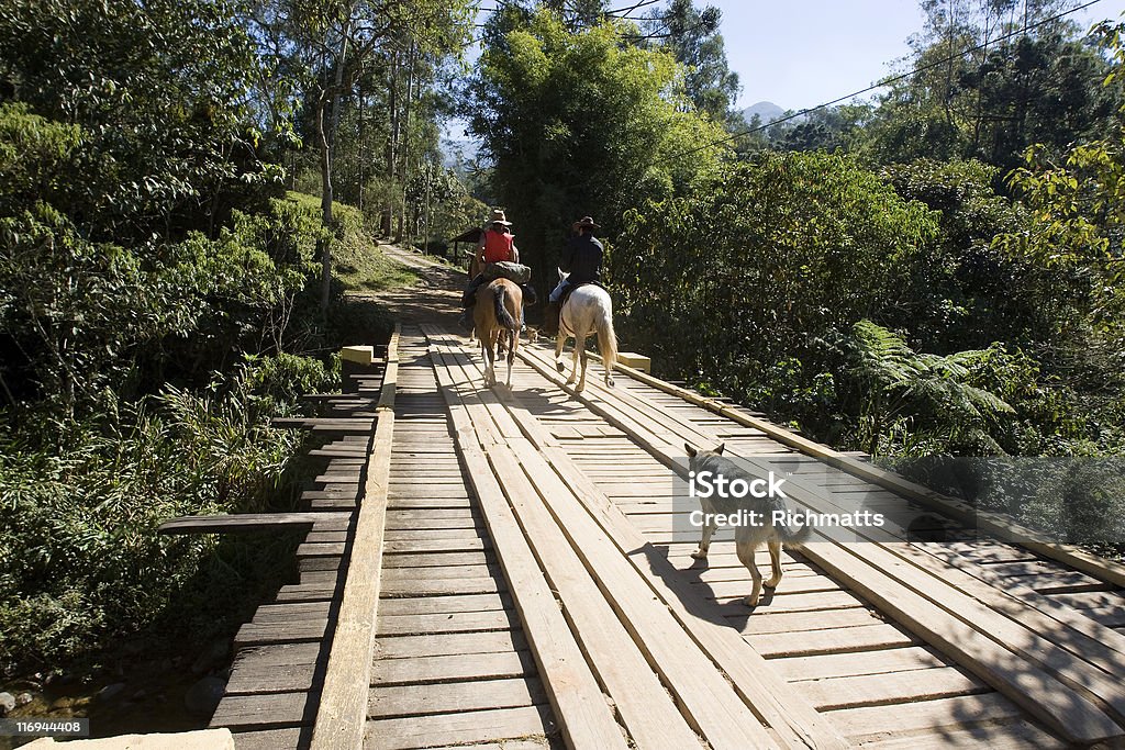 Persone a cavallo Ponte di attraversamento - Foto stock royalty-free di Brasile