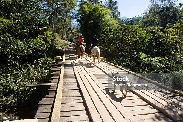 Persone A Cavallo Ponte Di Attraversamento - Fotografie stock e altre immagini di Brasile - Brasile, Fattoria, Istantanea