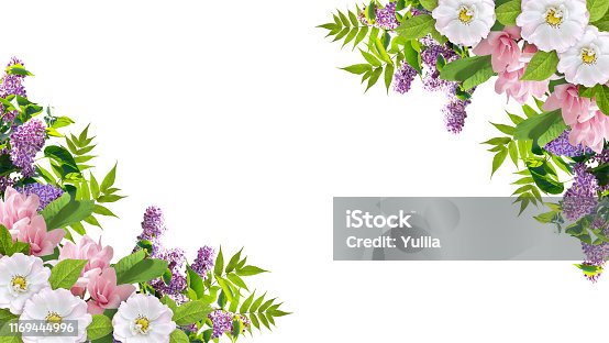 istock Beautiful floral corner ornament consists of lilacs flowers, dog roses (briar) and magnolia isolated on white background 1169444996