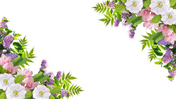 Beautiful floral corner ornament consists of lilacs flowers, dog roses (briar) and magnolia isolated on white background. Copy space for photo or text.