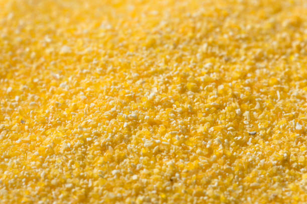 istock Dry Organic Corn Meal 1169446015