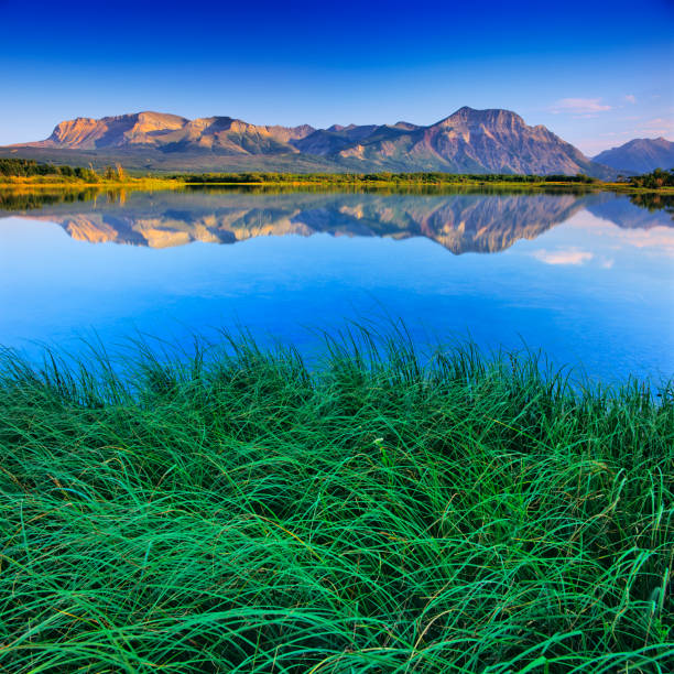 Maskinonge Lake in Waterton National Park in the Canadian Rockies
