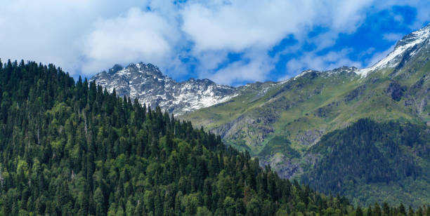 istock Natural landscape with mountains and forests against the sky. 1169452113