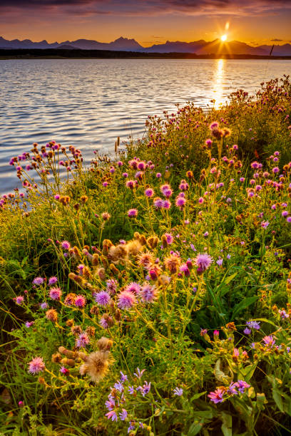 Payne Lake near Waterton National Park in the Canadian Rockies