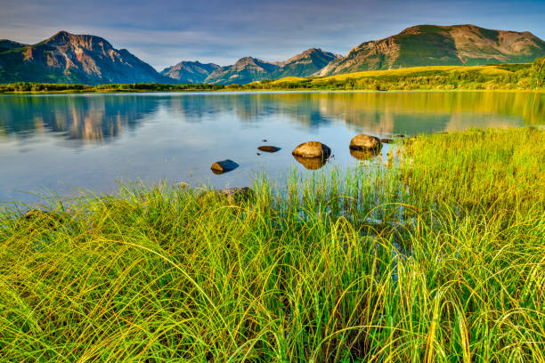 Maskinonge Lake in Waterton National Park in the Canadian Rockies