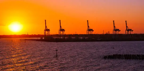 Container-handling gantry cranes silhouetted against setting sun in Melbourne, Australia